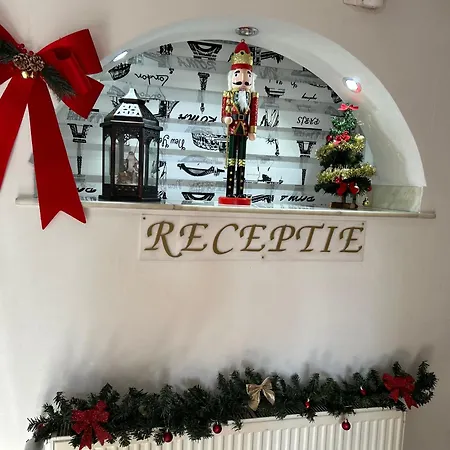 Guest house Pensiunea Miruna