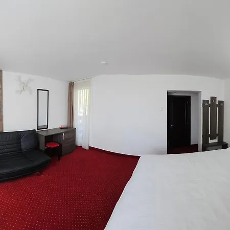 Pensiunea Miruna Guest house