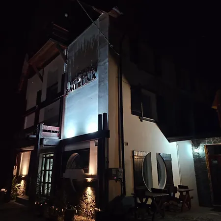 Guest house Pensiunea Miruna