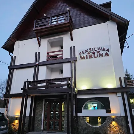 Guest house Pensiunea Miruna