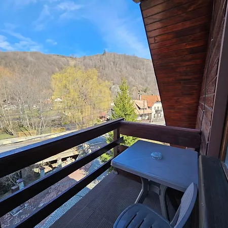 Pensiunea Miruna Guest house