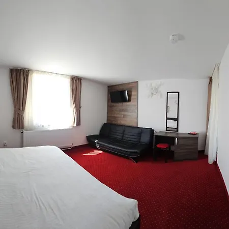 Pensiunea Miruna Guest house 3*